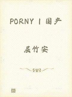 PORNY | 国产
